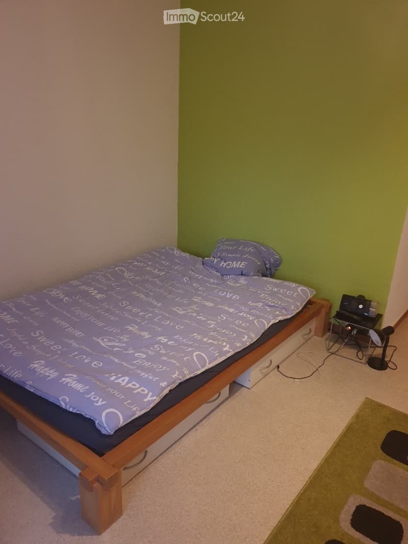 Petit appart. 1p meublé, pied-à-terre du lundi au vendredi (3)