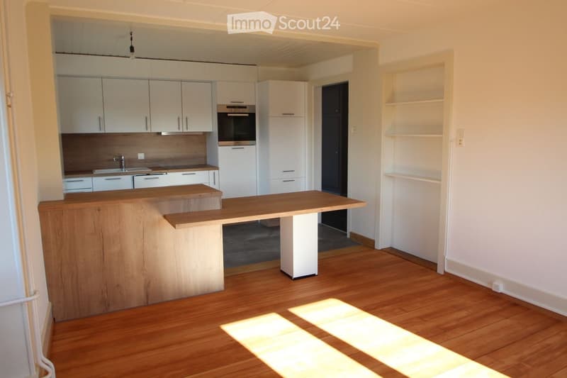 Appartement avec terrasse et jardin (4)