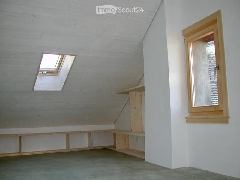 Duplex, Montreux Vieille ville, vue 360, lumineux, calme (4)