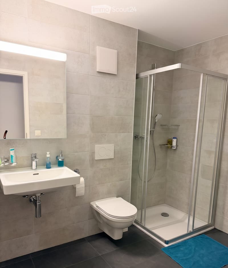 Appartement moderne avec terrasse privée  Reprise de bail (4)