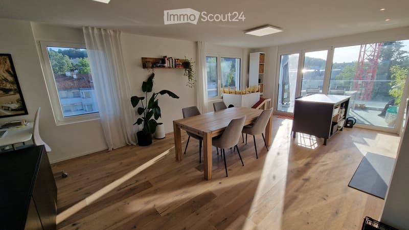 Bright 85 m² Attic Apartment in Zürich (1)