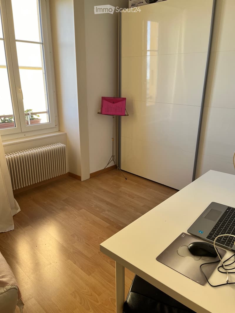 Chambre à louer  Appartement 3 pièces avec vue sur le lac (4)
