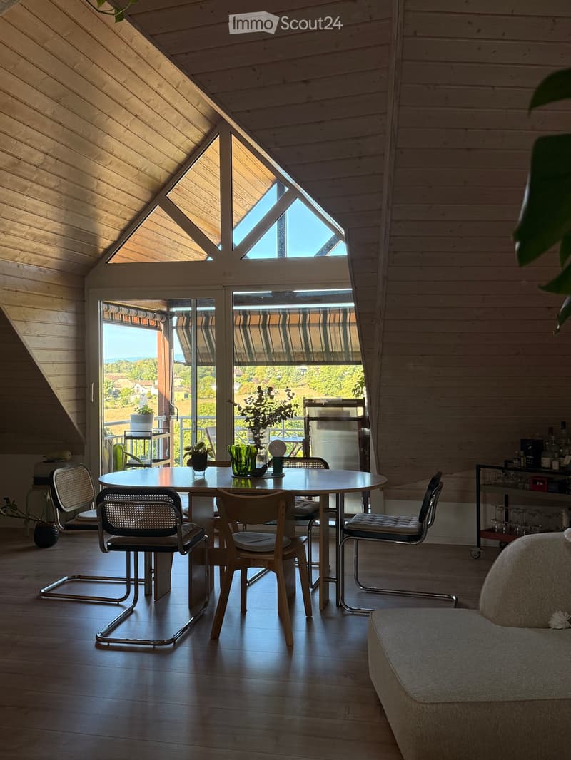 Appartement duplex 3.5 pcs / 120m2 - vue château & lac (2)