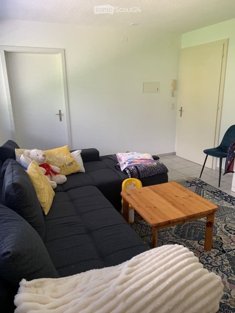 Charmante 3-Zimmer-Wohnung in Herbetswil (3)