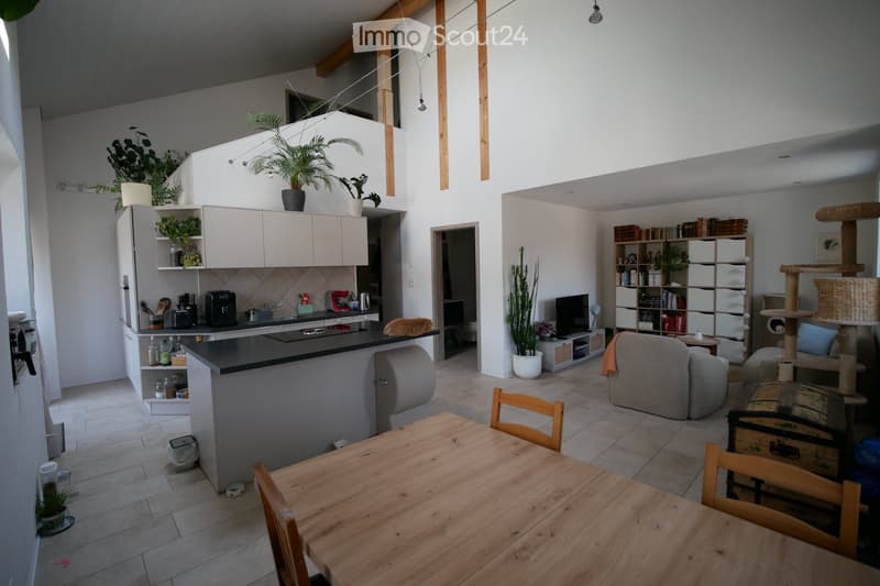 Appartement en duplex de 4,5 pièces (1)