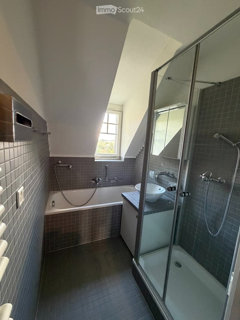 Appartement 5,5 pièces / Quartier Gambach Fribourg (5)