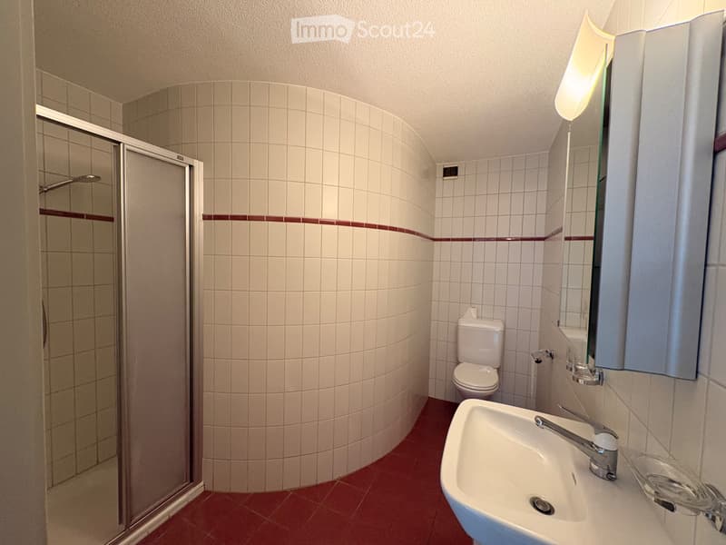 Schönes möbliertes Studio zu vermieten (5)