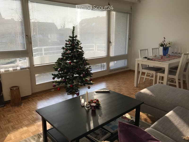 Lumineux appartement meublé de 3.5 pièces à Nyon incl.parkin (2)