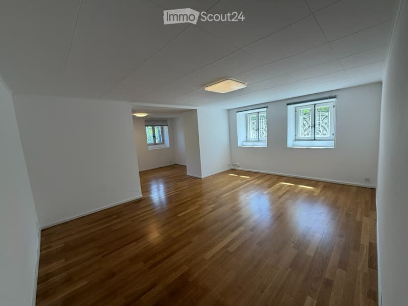 Appartement 3,5 pièces / Quartier Gambach Fribourg (1)