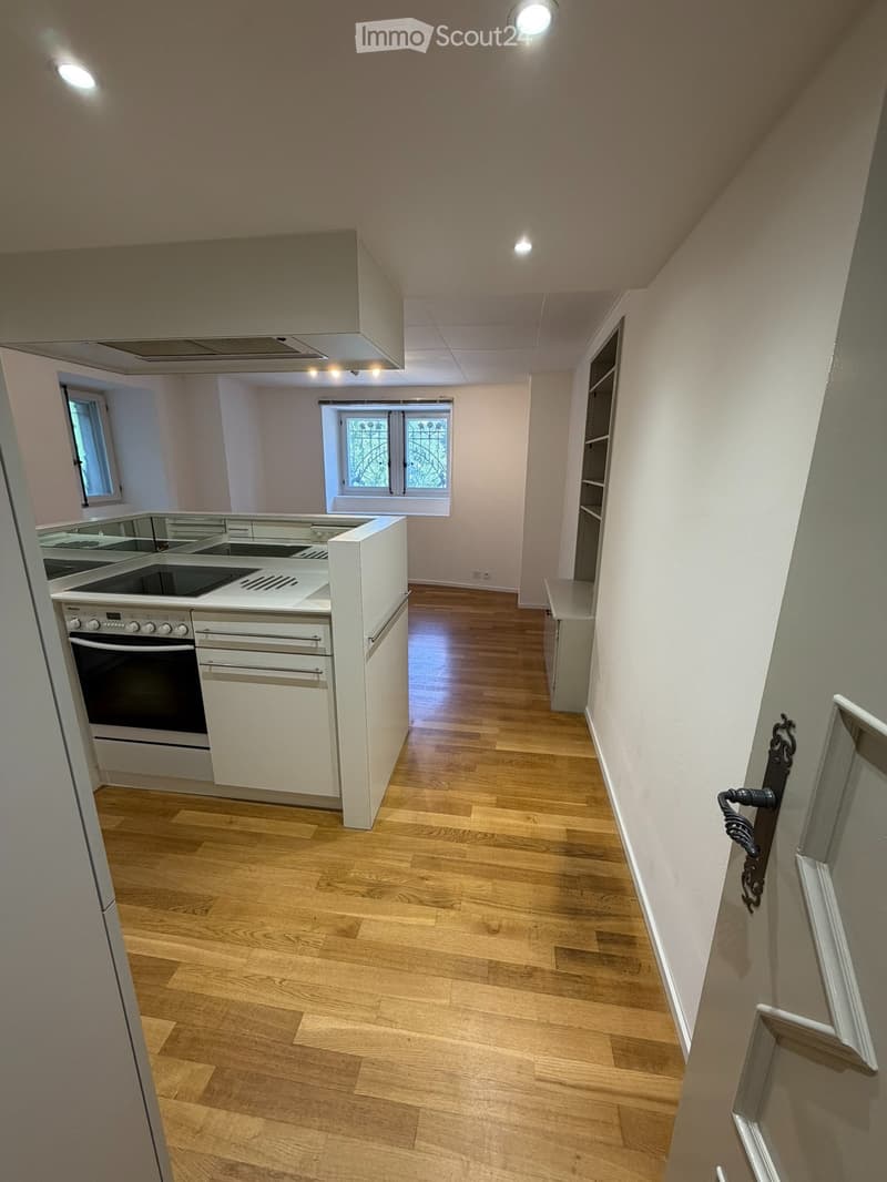 Appartement 3,5 pièces / Quartier Gambach Fribourg (5)