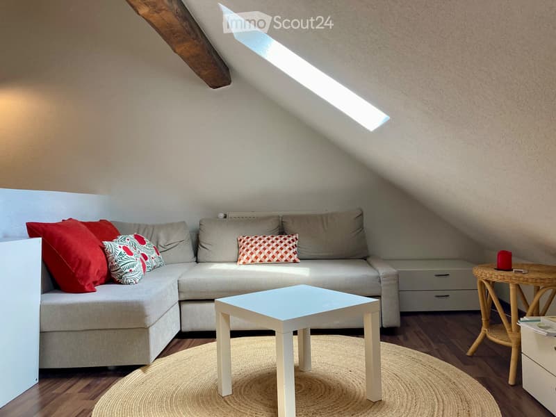 Chambre en colocation à Fribourg (3)