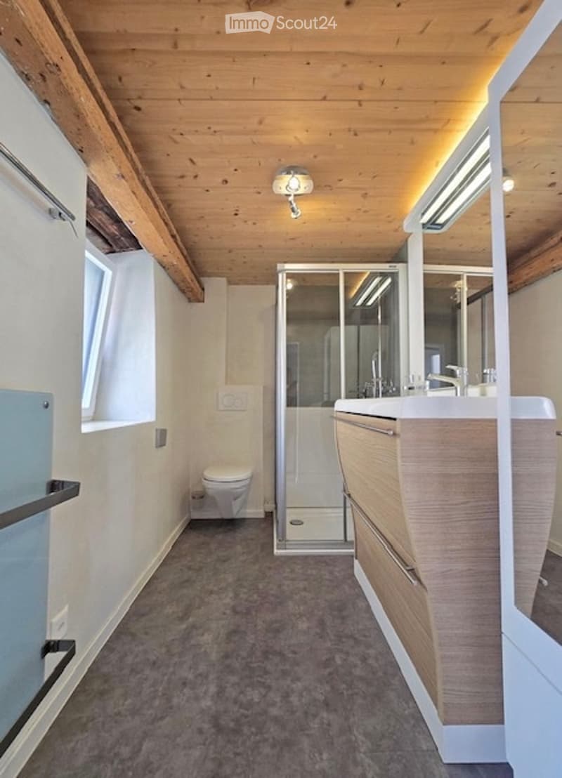 Charmant petit mazot duplex - FULLY (5)