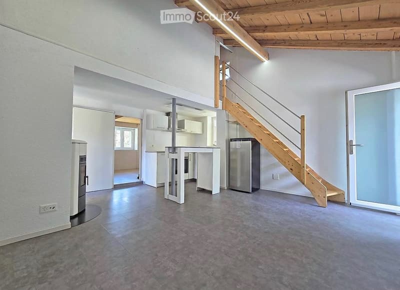 Charmant petit mazot duplex - FULLY (2)