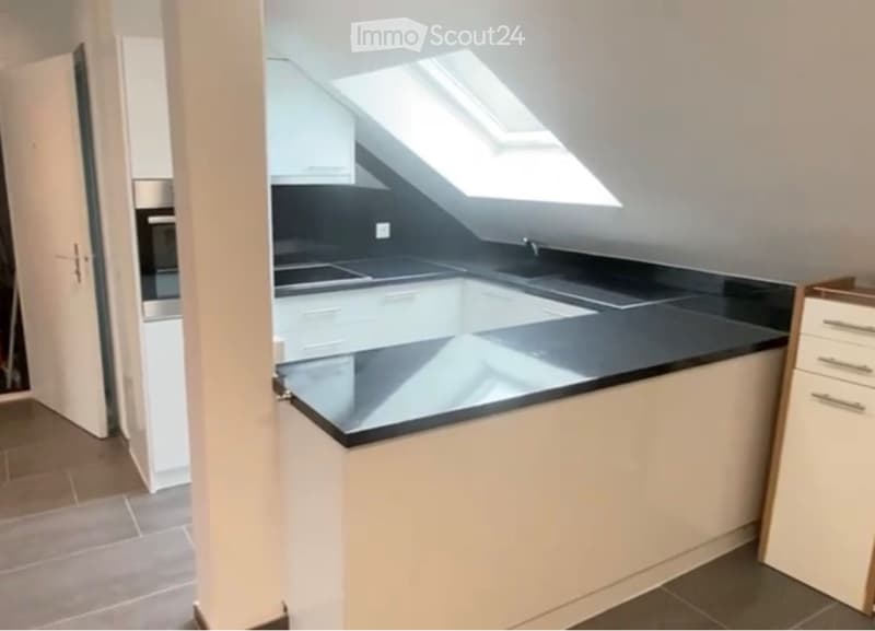 Appartement 3 pièces lumineux avec velux (2)