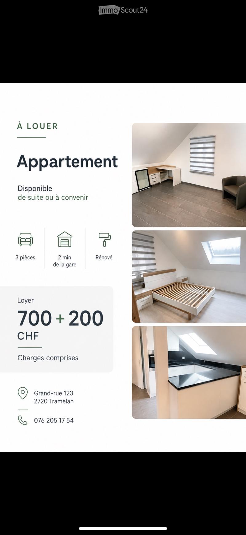 Appartement 3 pièces lumineux avec velux (1)
