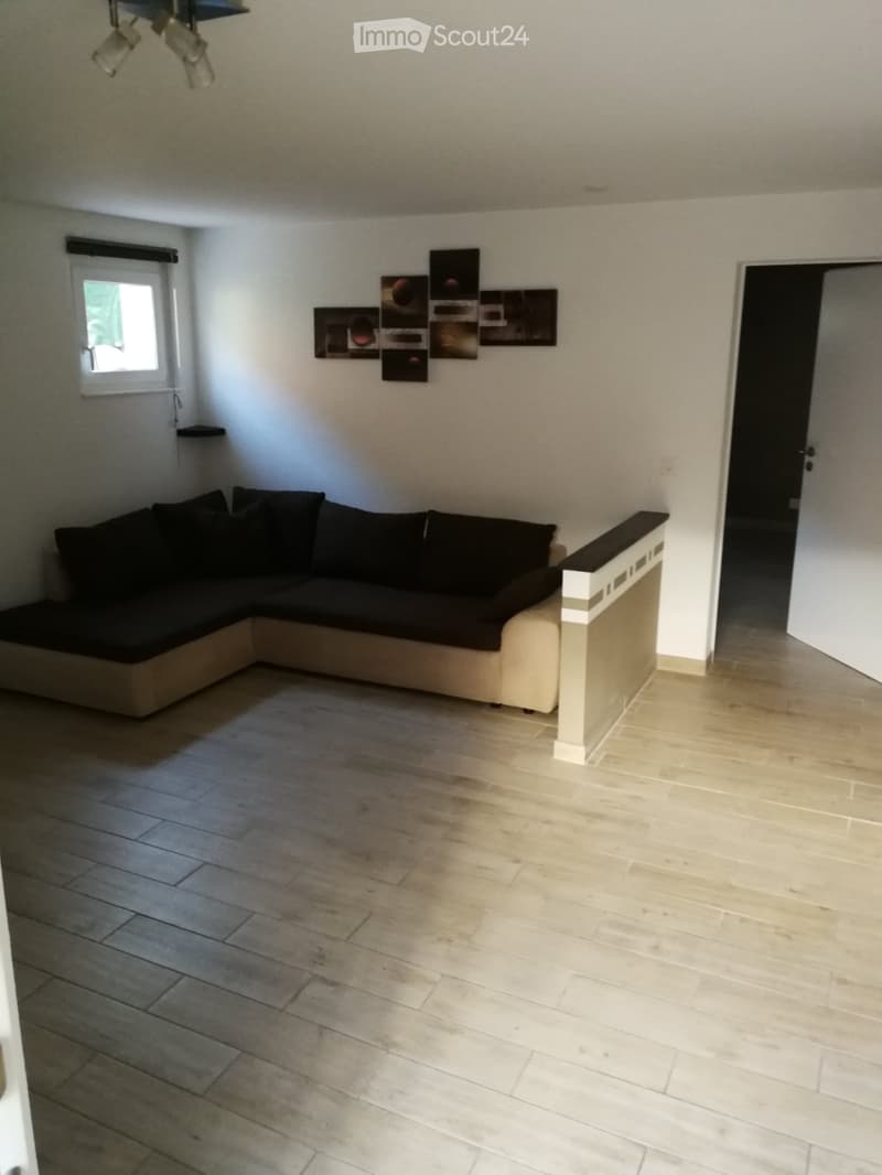 Appartement Grand 2.5 pièces (2)