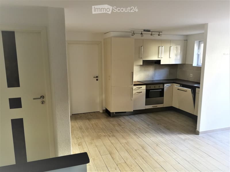 Appartement Grand 2.5 pièces (3)
