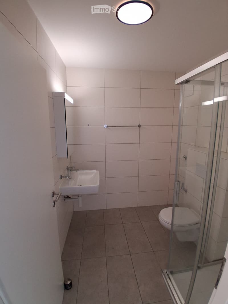 Appartement 2.5 pièces à louer à Aproz (Commune de Sion) (4)