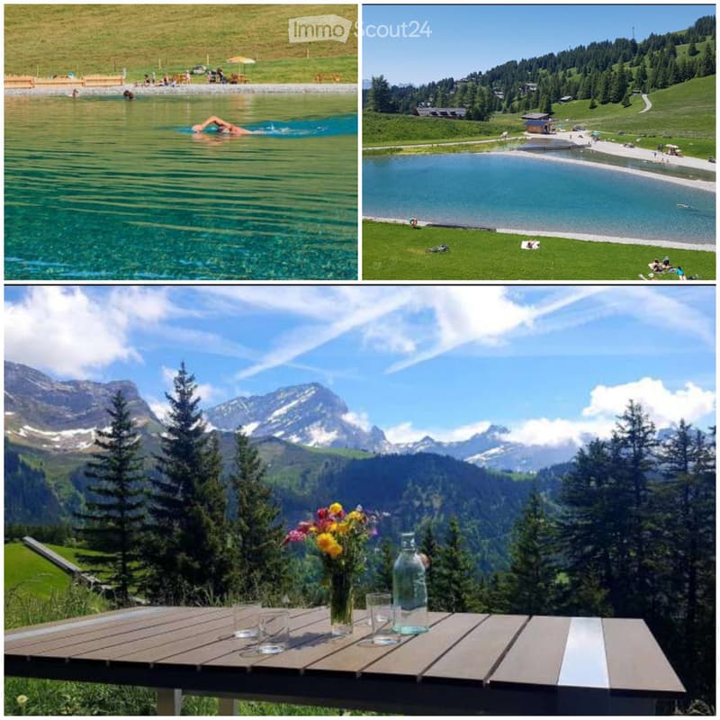 Vacances pour le ski, randonnée, bike ou baignade! (1)