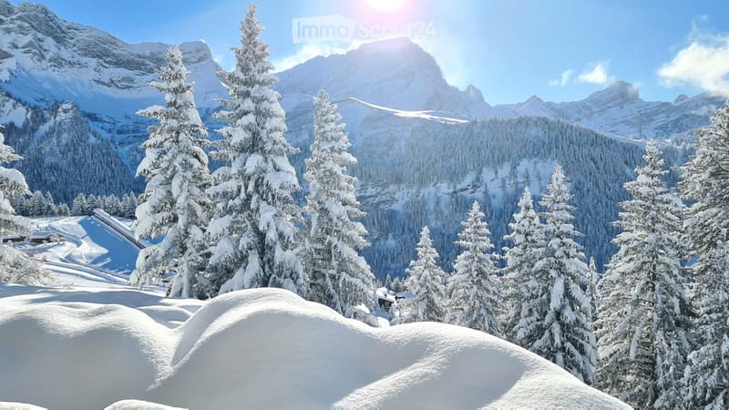 Vacances pour le ski, randonnée, bike ou baignade! (5)