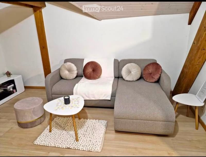 URGENT Reprise de bail duplex (2)