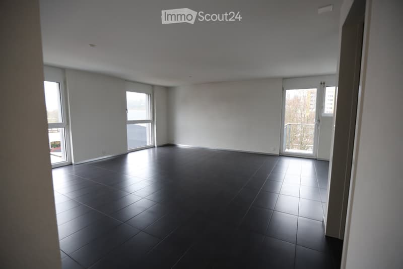 Grand appartement lumineux de 2 pièces (1)