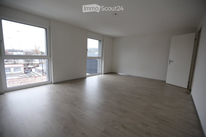 Grand appartement lumineux de 2 pièces (4)