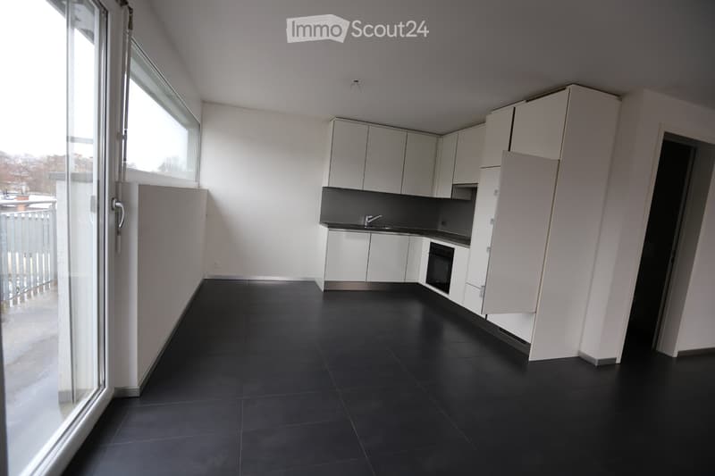Grand appartement lumineux de 2 pièces (2)