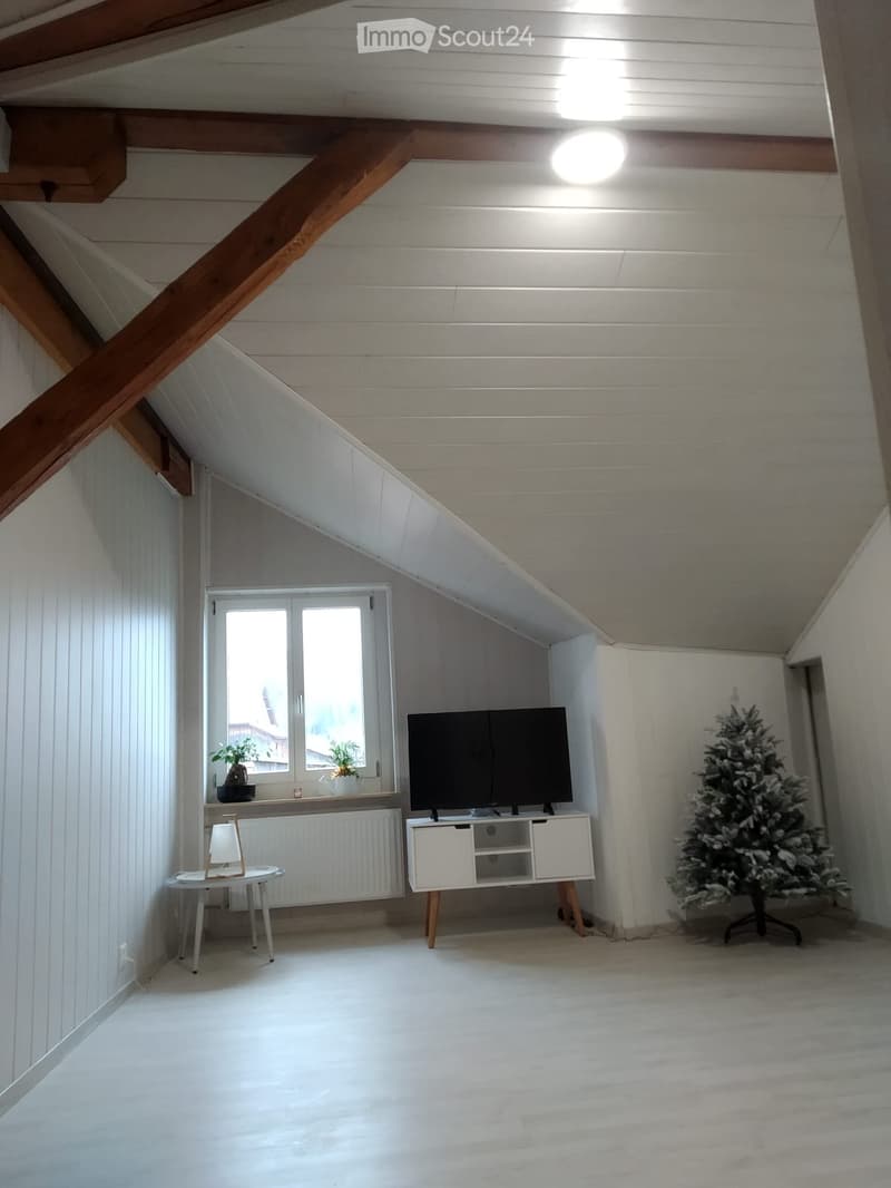 Spacieux 5½pcs de 160m2 (6½pcs) (5)
