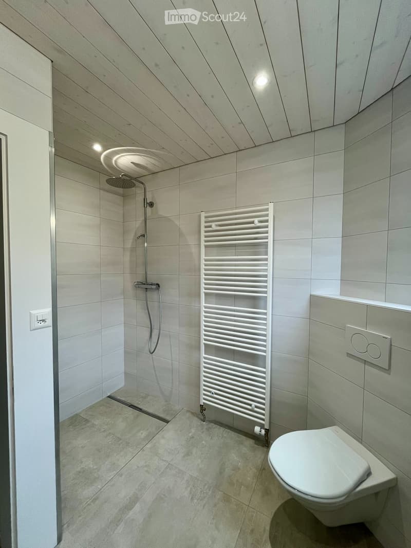Spacieuse maison avec grand jardin et serre (3)
