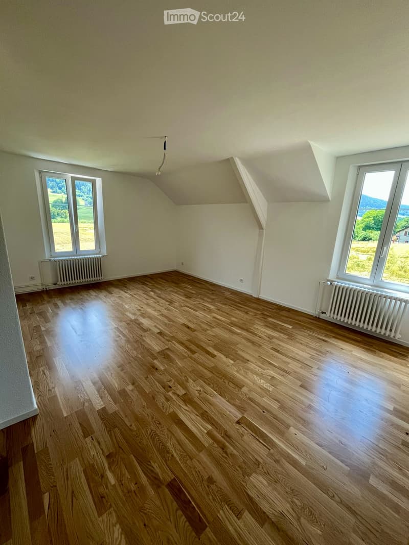 Spacieuse maison avec grand jardin et serre (5)
