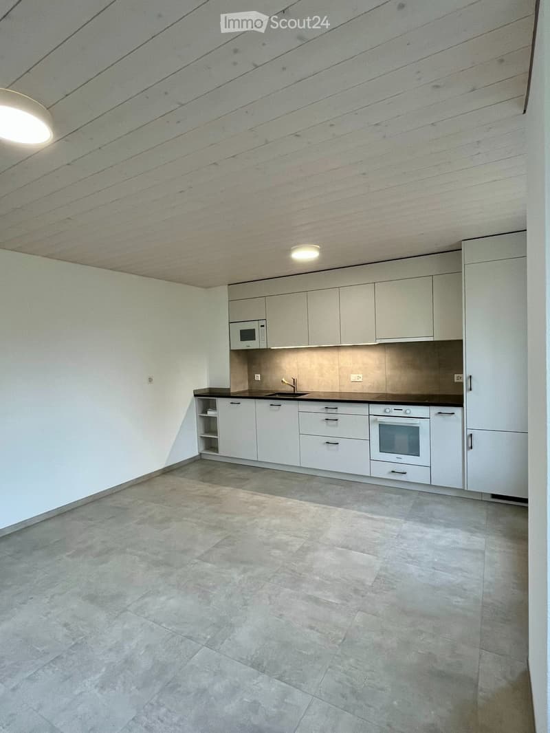 Spacieuse maison avec grand jardin et serre (2)