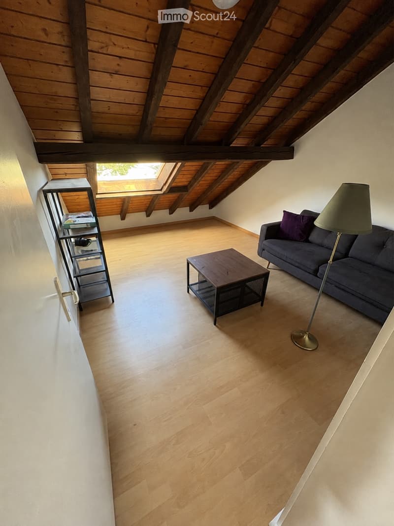 Magnifique 3 pces aux combles (3)