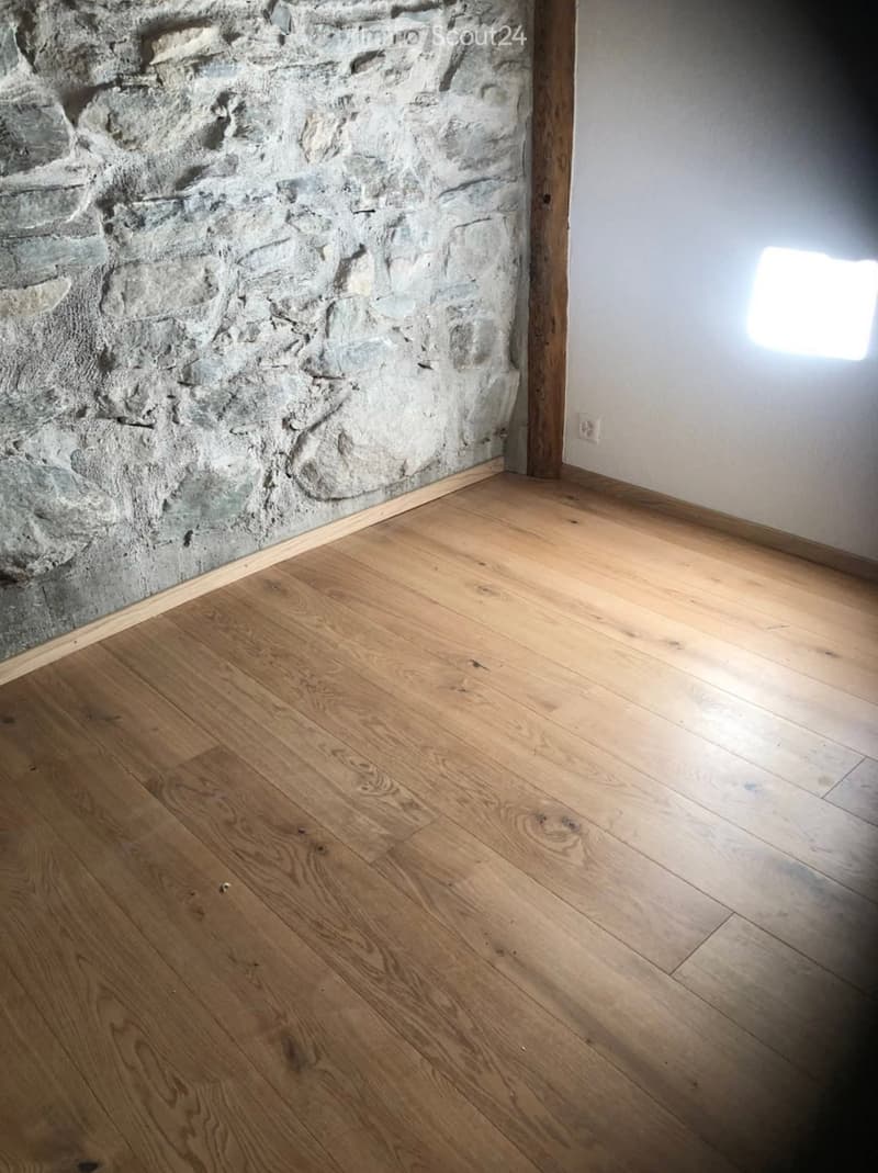 Magnifique chalet / grange rénovée (4)