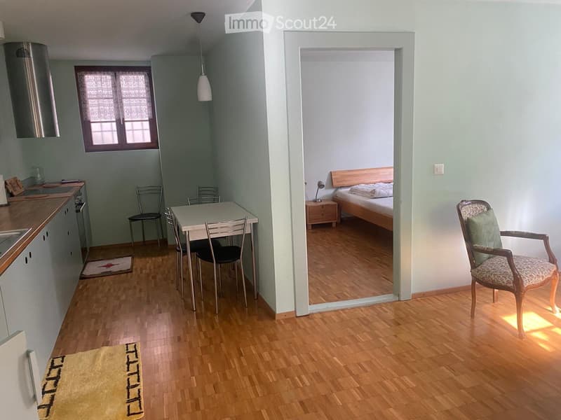 Visp, Zentrum, möblierte 2 Zimmer-Wohnung zu vermieten (3)