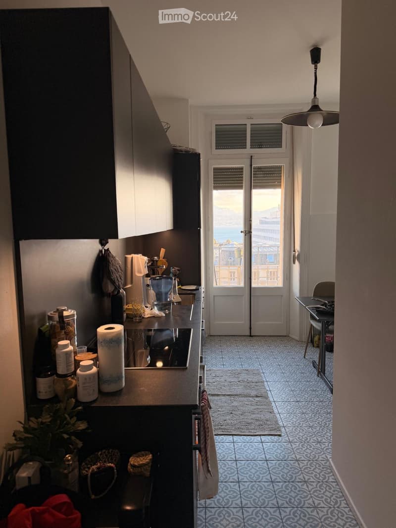 Location appartement 3 pièces centre ville, vue sur le Lac (5)