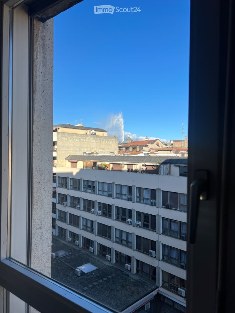 LEASE TAKEOVER Exceptional 5-Room Apartment /Eaux-Vives (4)