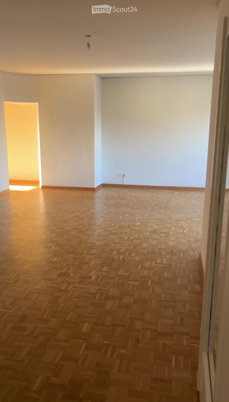 LEASE TAKEOVER Exceptional 5-Room Apartment /Eaux-Vives (5)