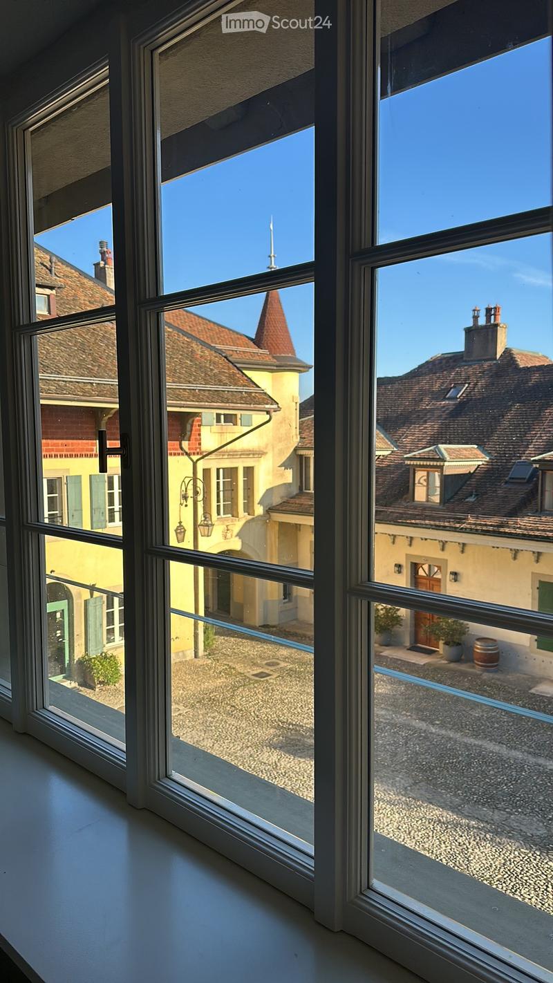 Rare - Magnifique appartement - Château - vue lac (1)