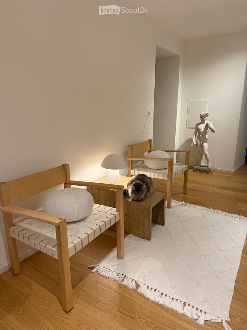 Rare - Magnifique appartement - Château - vue lac (2)