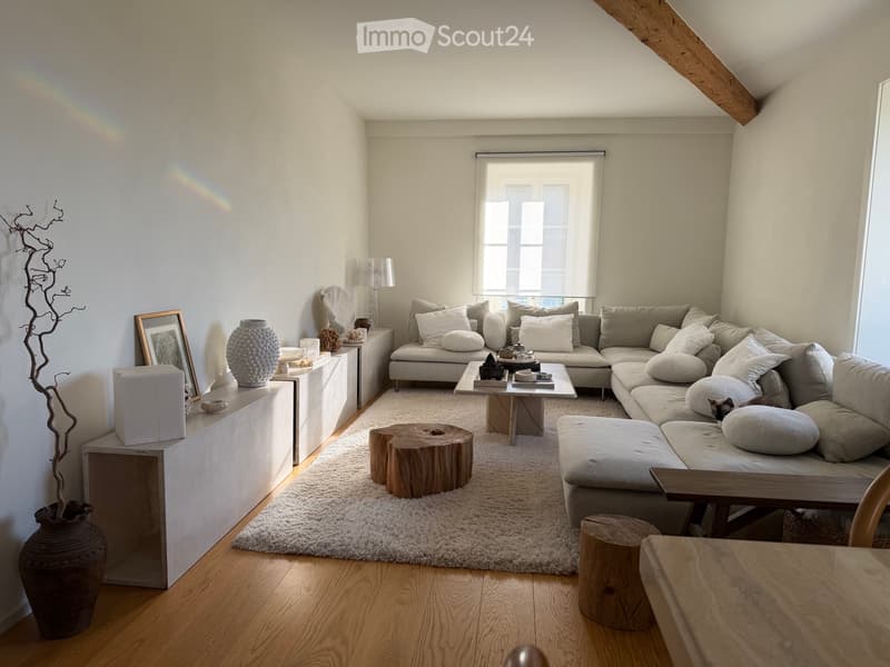 Rare - Magnifique appartement - Château - vue lac (4)
