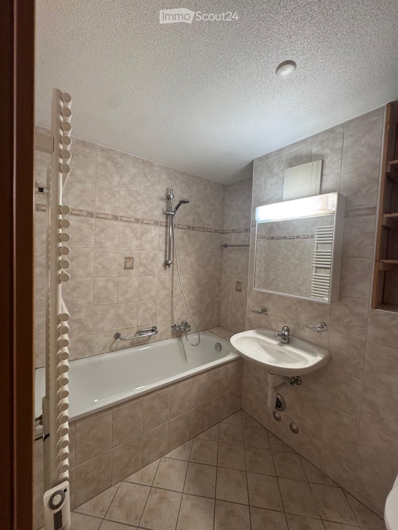 Bel appartement de 5,5 pièces à louer (4)