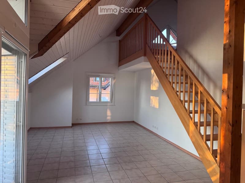 Bel appartement de 5,5 pièces à louer (5)