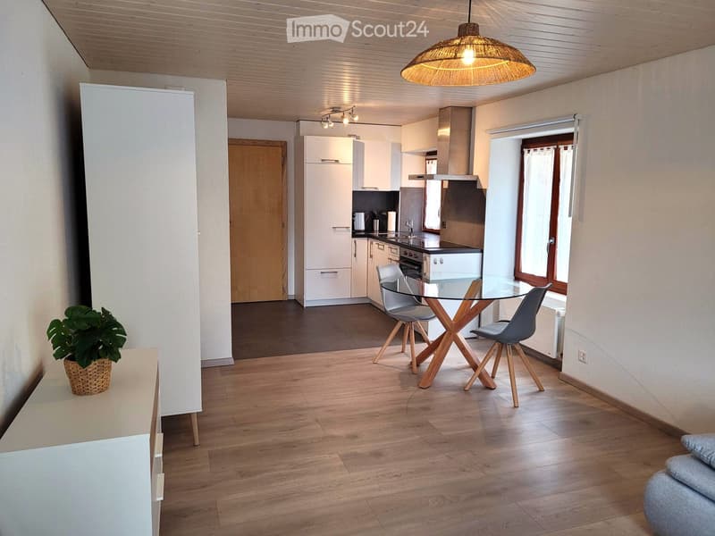 Studio meublé et entièrement équipé (1)