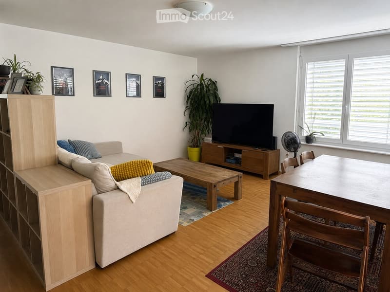 Appartement de 3 chambres avec terrasse/petit jardin / Rolle (2)