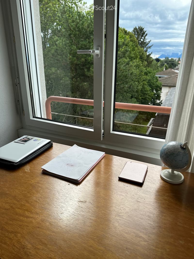 Chambre à louer à Renens (3)