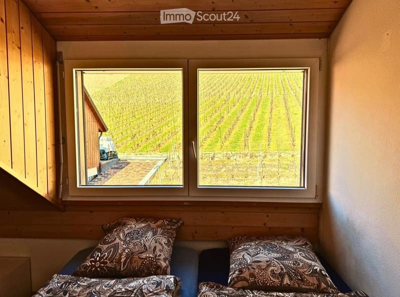 Colocation chambre duplex confort, vue lac, bonne ambiance (5)
