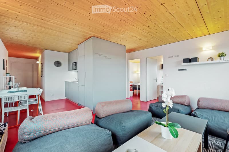 Reprise de bail : Appartement 3.5 pièces meublé (2)