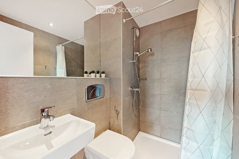 Reprise de bail : Appartement 3.5 pièces meublé (5)