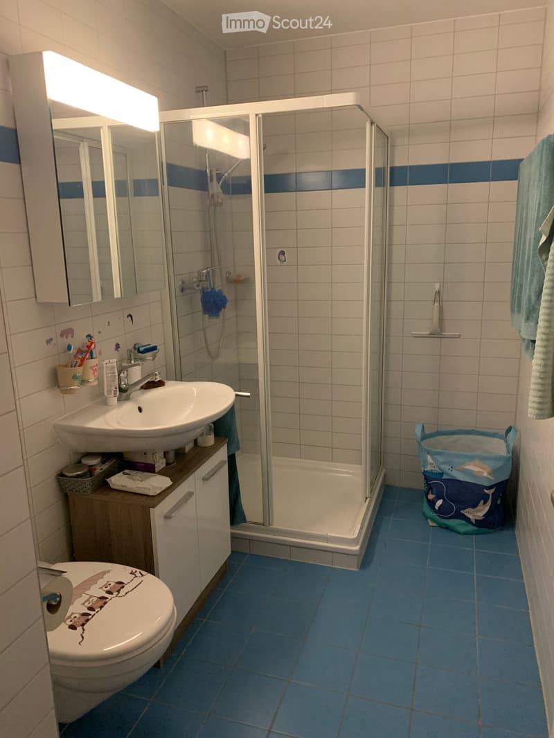 Reprise de bail magnifique appartement 4.5 pcs (3)